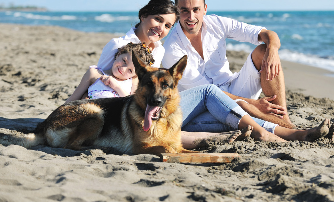 Где можно с собакой. Семейная фотосессия с собакой. Семья овчарок. Семья на море с собакой. Фотосессия с собакой на море.
